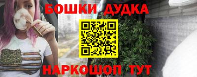 гидра Будённовск
