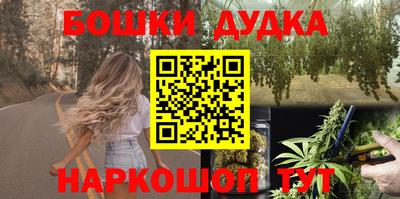 гидра Будённовск