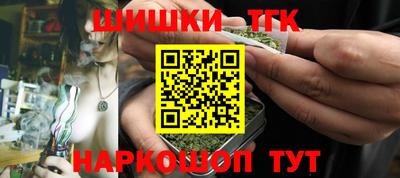гидра Будённовск