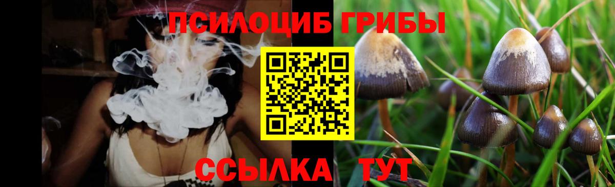 Галлюциногенные грибы Cubensis Нововоронеж